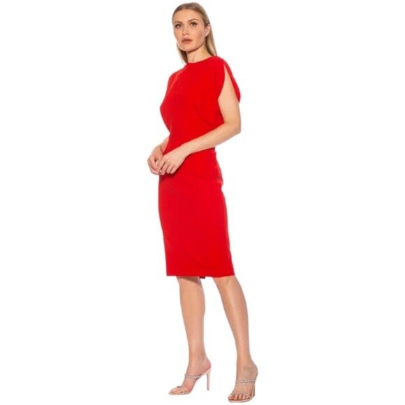 Alexia Admor Gianna Draped off Boatneck Dress in Red, Size L - Picture 4 of 10
